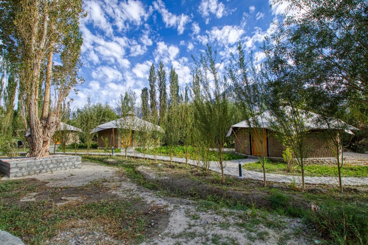 Chalet Seabuckthorn - Hunder Hundar Exteriör bild