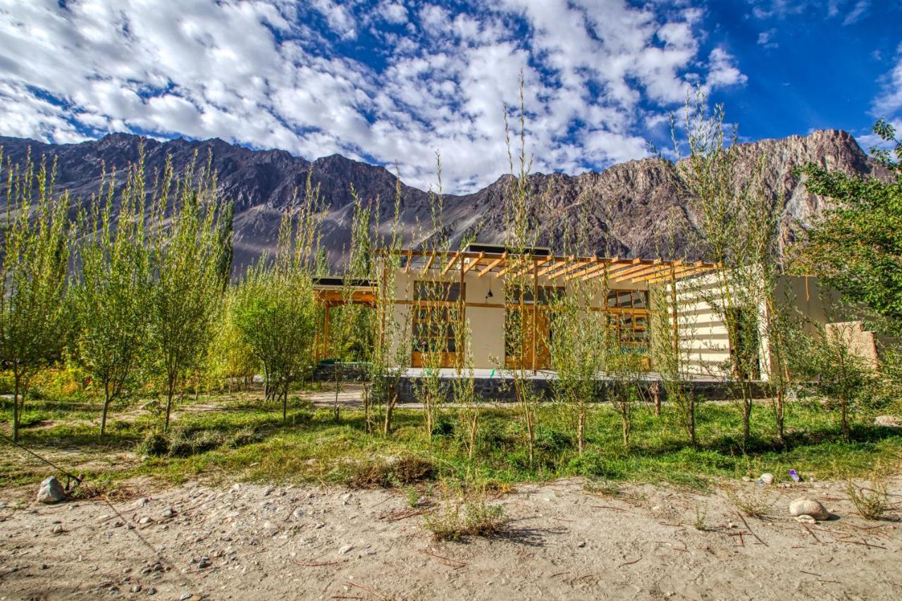 Chalet Seabuckthorn - Hunder Hundar Exteriör bild