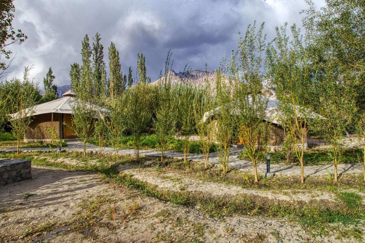 Chalet Seabuckthorn - Hunder Hundar Exteriör bild